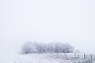 Image showing Prairie Fog