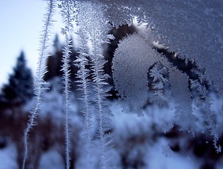 Image showing Rime on my window