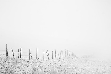 Image showing Fence Line