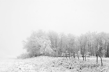 Image showing Prairie Fog