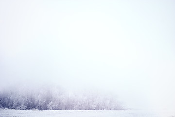 Image showing Prairie Fog