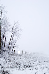 Image showing Prairie Fog