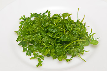 Image showing Parsley