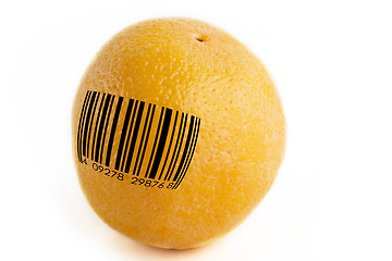 Image showing GMO Orange