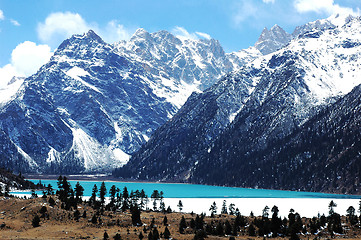 Image showing Landscape in winter