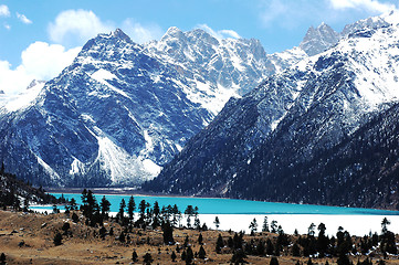 Image showing Landscape in winter