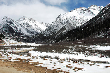 Image showing Landscape in winter