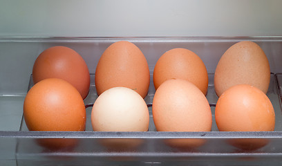 Image showing Eggs In Refrigerator