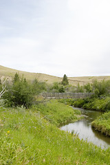 Image showing Cypress Hills Park Creek