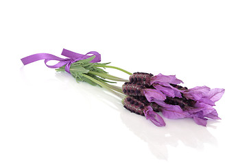 Image showing Lavender Herb Flower Posy