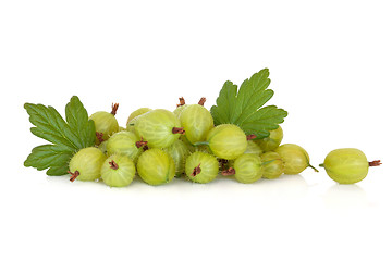 Image showing Gooseberry Fruit