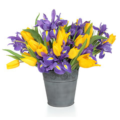 Image showing Iris and Tulip Flowers