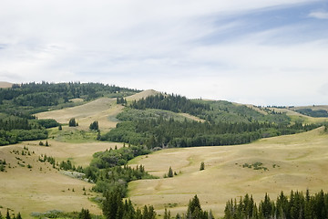 Image showing Cypress Hills