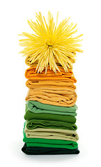 Image showing Joyful spring laundry