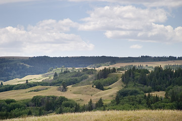 Image showing Cyrpess Hills