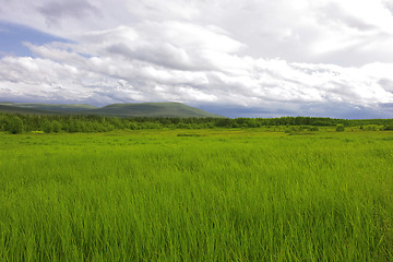 Image showing Green summer field and hills