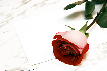 Image showing Red rose and the letter