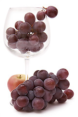 Image showing Grapes in a wine glass