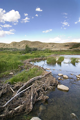 Image showing Beaver Dam