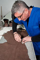 Image showing Leather manufacture