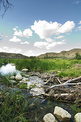 Image showing Beaver Dam