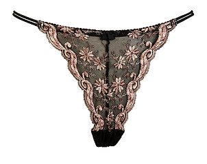 Image showing beautiful female panties