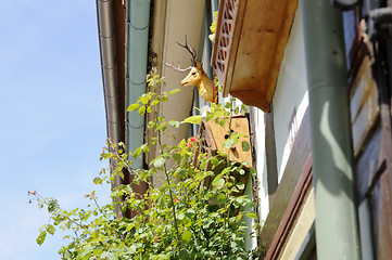 Image showing Wall sculpture deer head