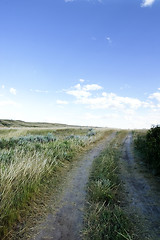 Image showing Small Dirt Road