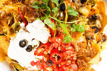 Image showing fresh nachos and vegetable salad with meat