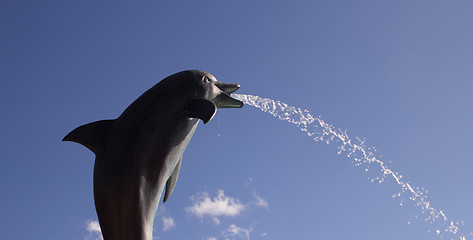 Image showing dolphin fountain