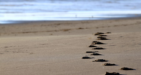 Image showing beach footsteps