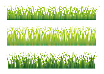 Image showing Green grass variation