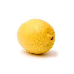 Image showing Yellow lemon on a white background