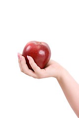 Image showing Apple on a palm