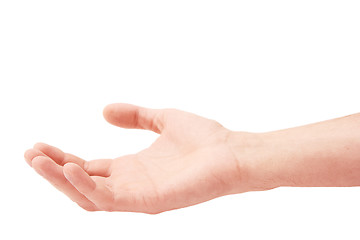 Image showing Hand of the man on a white background