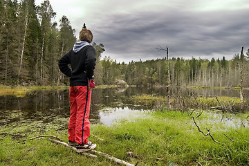 Image showing Marsh