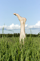 Image showing Foot sticking out of a grass