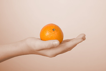 Image showing Tangerine on a children's palm