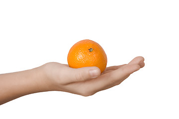 Image showing Tangerine