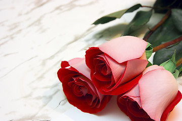 Image showing Three roses on a marble table