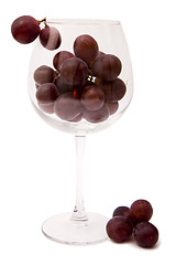 Image showing Grapes in a wine glass