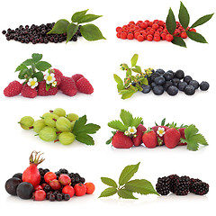 Image showing Berry Fruit Sampler