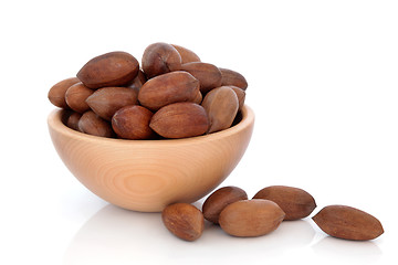 Image showing Pecan Nuts