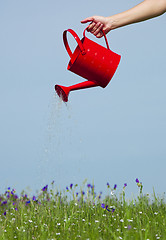 Image showing Watering the flowers