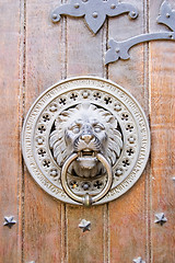 Image showing Door Knocker