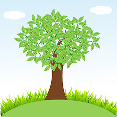 Image showing natural tree with grass