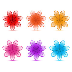 Image showing colorful flowers