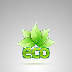 Image showing eco with leaves