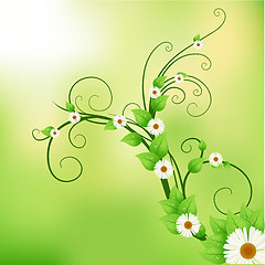 Image showing abstract floral background