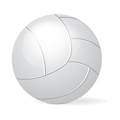 Image showing volley ball